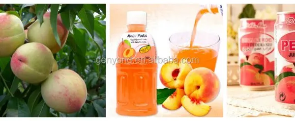 Peach Processing Line Concentration Apricot Production Line Beltline of Fruit Juice photo-2