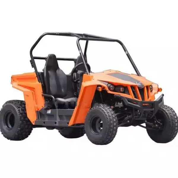 Cheap Gasoline Strae Dune Buggys for Sale Chassis 2 Seat Two People Side by Side