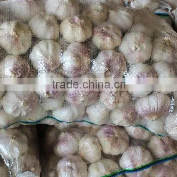 Chinese 2016 new crop fresh garlic
