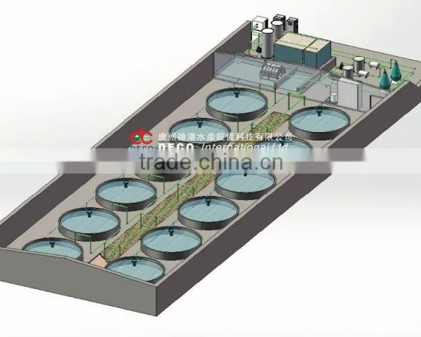 RAS system for fish farm 100m3 sea water