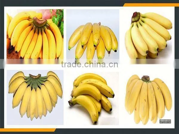Leader Green Banana Barking Machine Whatsapp:+8618336073732 photo-6