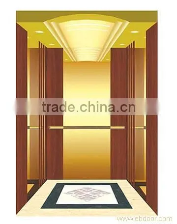 Passenger Lift/Passenger Elevator Hot Sales photo-2