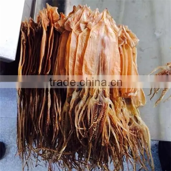 Export Dried Shredded Squid, Dried Illex Squid photo-2