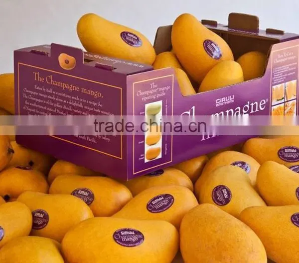 Corrugated Carton Box Packaging Fresh Fruit and Vegetable photo-6