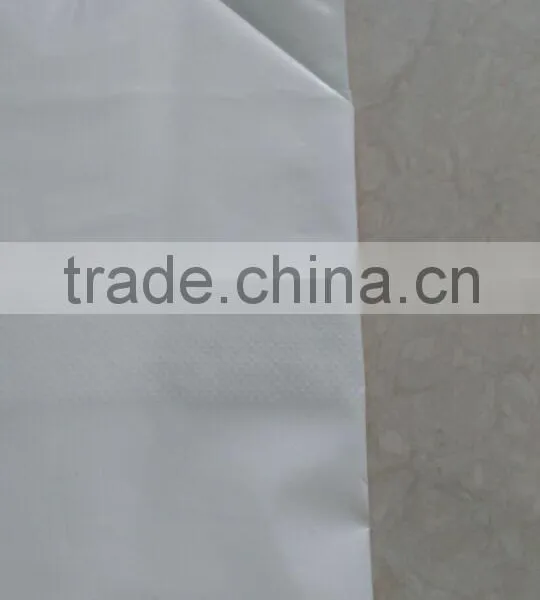 pe Tarpaulin Valve Protective Film Cement Bag/plastic Bag photo-5