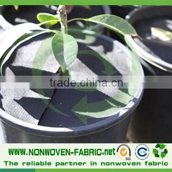 PP Landscape Fabric Weed Control Fabric pp Ground Cover photo-4