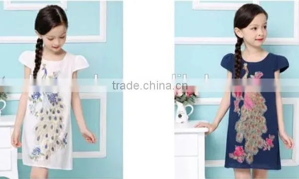Embroidered Dress photo-4