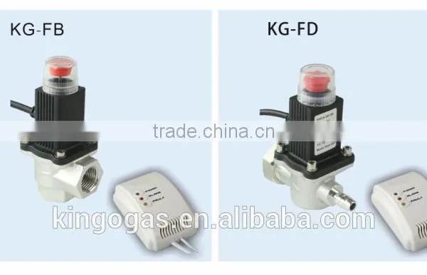 Electromagnetic Valve Made in China photo-2