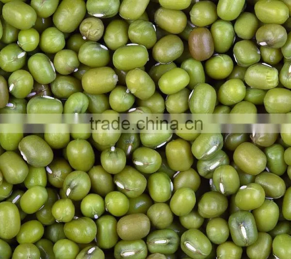 Green Mung Beans, White Kidney Beans, Broad Beans