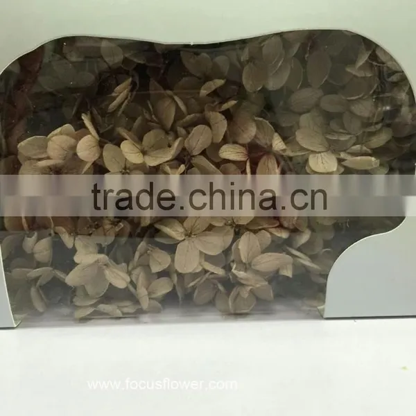 Top Quality Flower Export Preserved Flower Colorful Wholesale Artificial Hydrangea Flowers photo-6