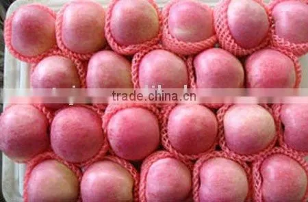 Fragrant Qinguan Apple Fruit