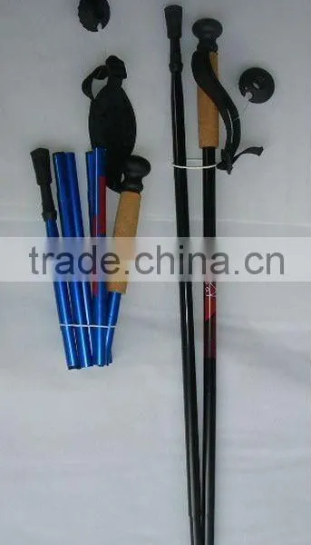 Nordic Walking Stick