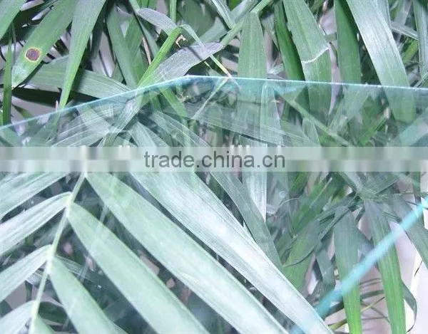 1mm Clear Mirror Glass Factory in China Cheap Price photo-3