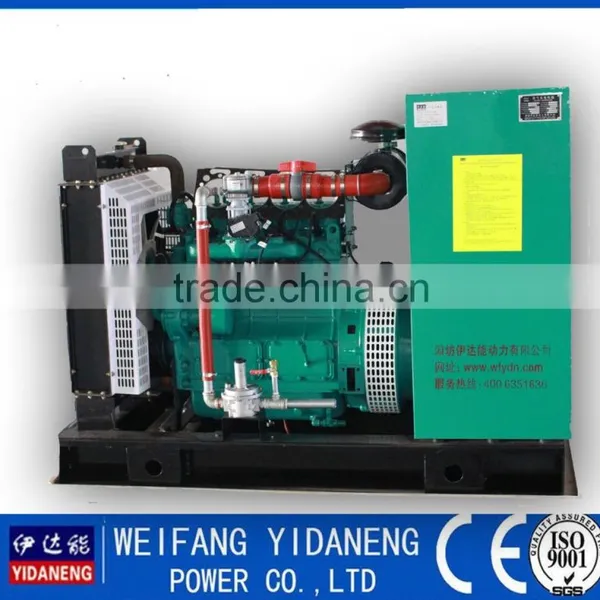 20kw Nature Gas Generator Set