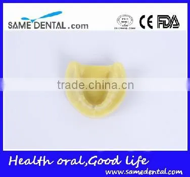 Dental Implant Practice Model (no Gum) Education School Teaching Models photo-2