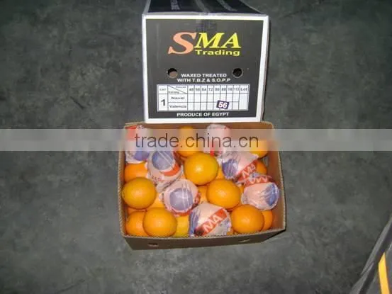 Fresh Valencia Orange photo-2