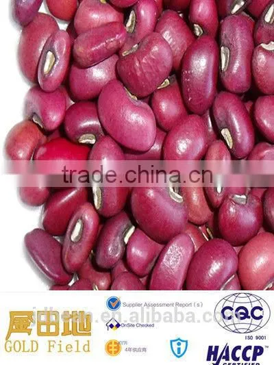 Crop 2014 Red Cowpea Beans photo-2
