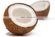 Husked Coconuts From Tuticorin Port photo-4