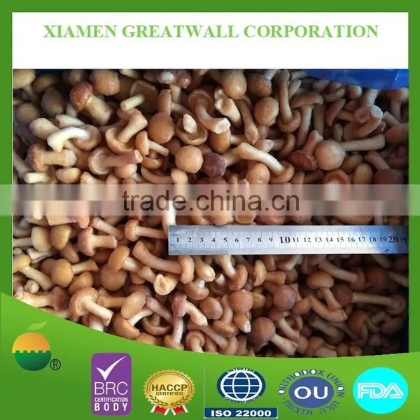 Frozen Nameko Mushroom From China Food Supplier