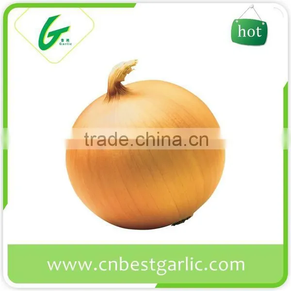 Importers of Dehydrated Fresh Onion photo-6