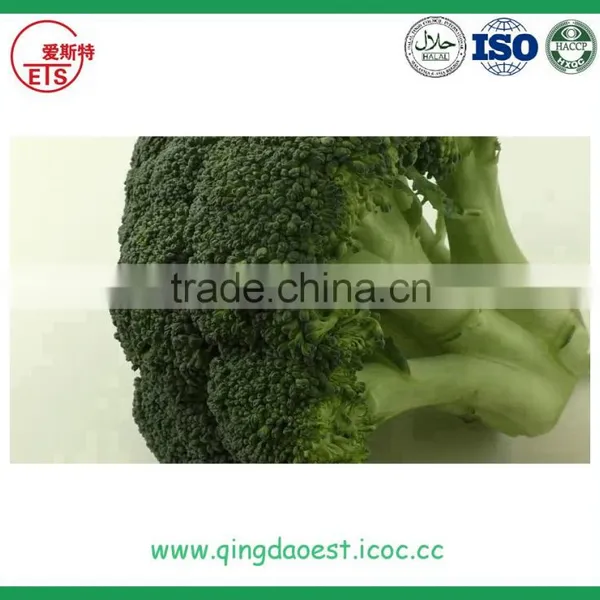Wholesale Fresh Broccoli for Sale photo-2