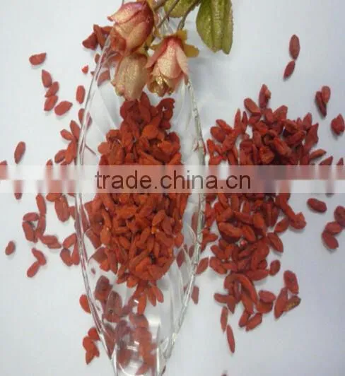 Goji Berry photo-3