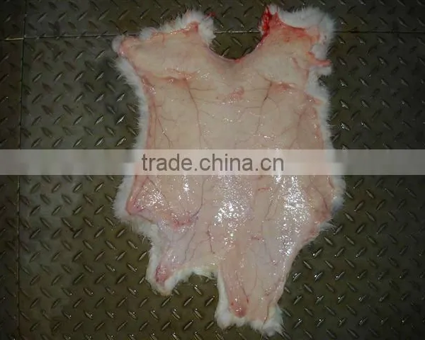 Rabbit Skin