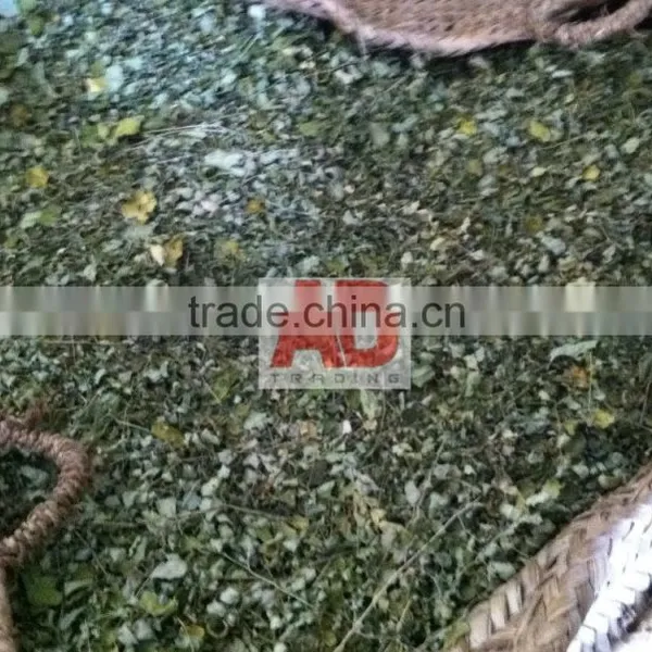 Organic Moringa Seeds/ Moringa Tea Cut Leaves/ Moringa Powder photo-5