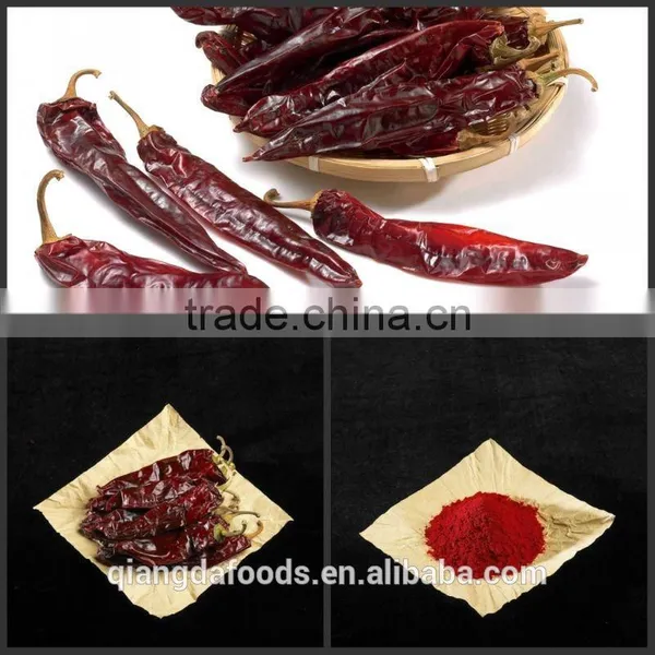 Paprika Pods photo-2
