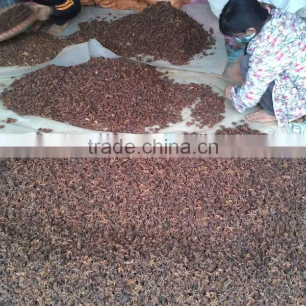 VIETNAM SPRING STAR ANISEED photo-4