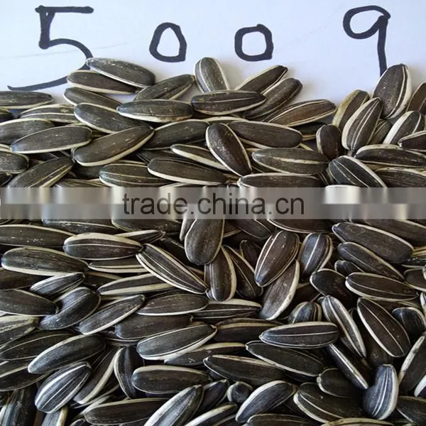 Sunflower Seeds
