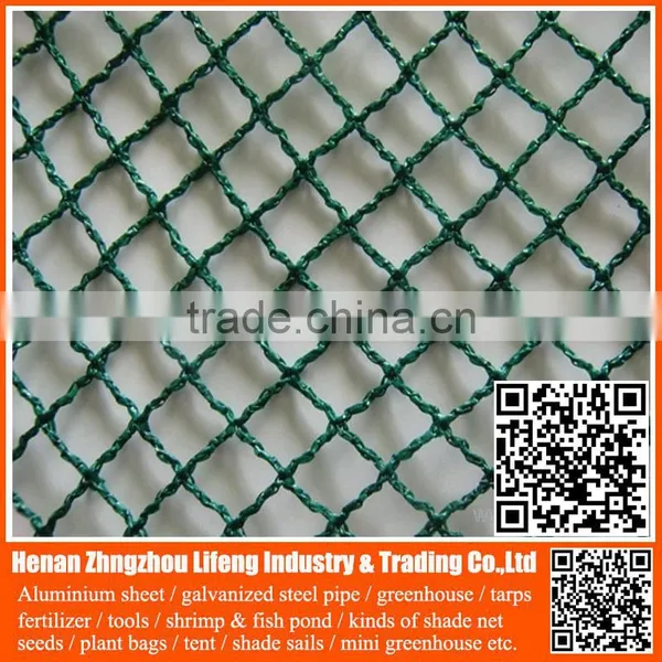 Chinese Factory Supply 100% Virgin Hdpe / pe Plastic Anti Bird Netting , pe Bird Protection Net , Plastic Anti Bird Net photo-4