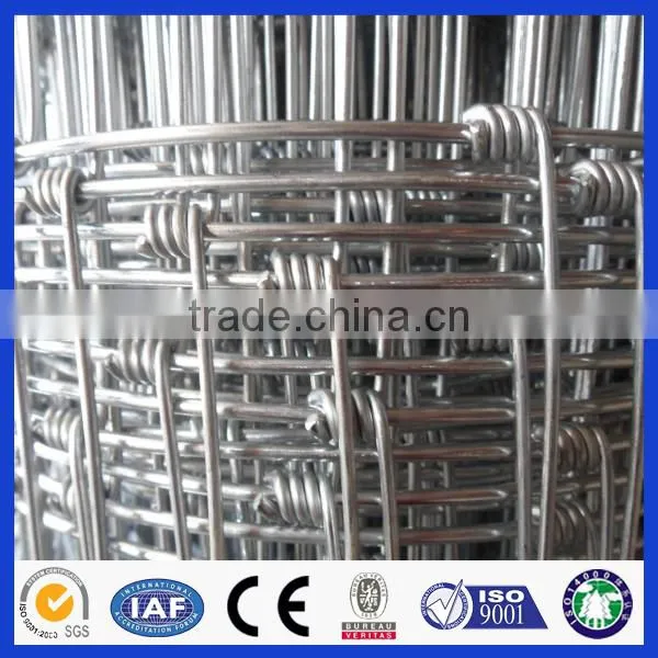 Factory Direct Deer Fencing Sale( Anping Factory ) photo-2