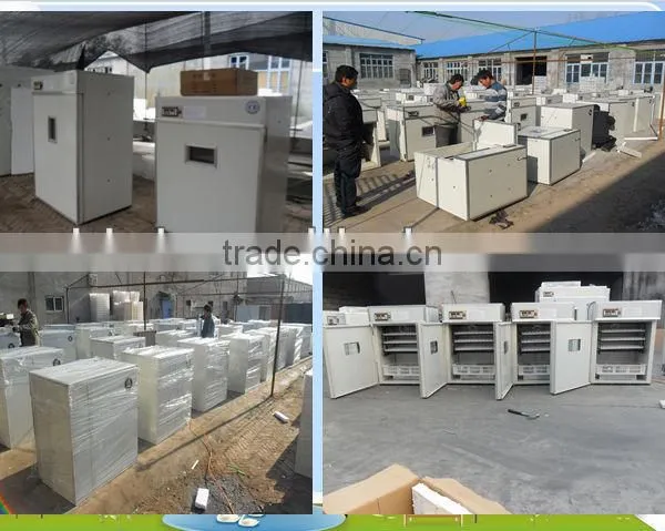 HHD YZITE-6 352 Eggs Used Chicken Egg Incubator for Sale photo-6