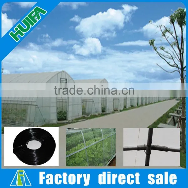 Mini Galvaizing Steel Frame Single Tunnel Greenhouse for Sale