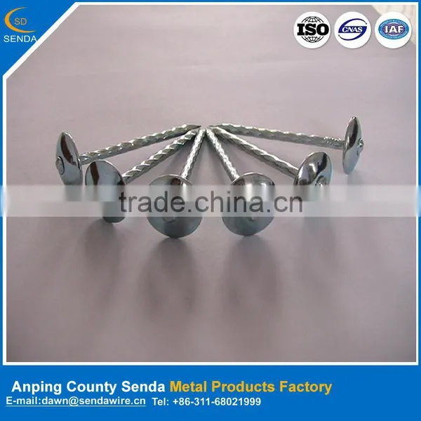 Polished Umbrella Head Iron Nails/ Roofing Nails photo-3