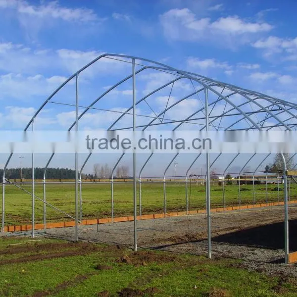 Gothic High Poly Tunnel Greenhouse photo-2