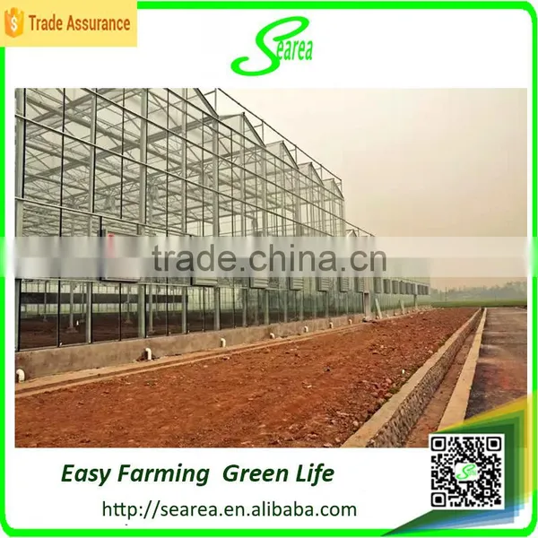 Modern Agricultural Equipments Glass Commercial Greenhouses photo-5