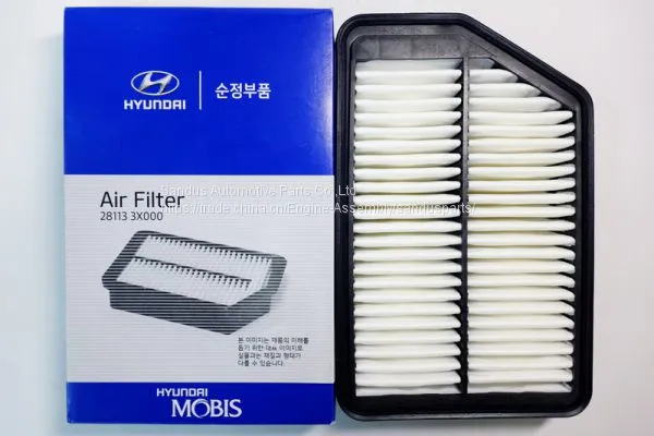 Diesel Engine Parts Air Filter for KIA&Hyundai 28113 3X000 photo-2