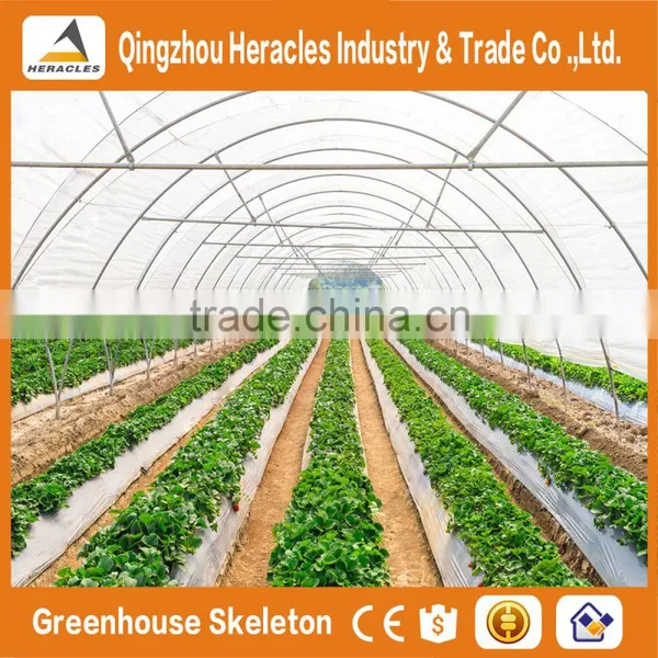 Heracles Large Multi-span PE Film Green House Agriculture & Commercial Used Greenhouse photo-3