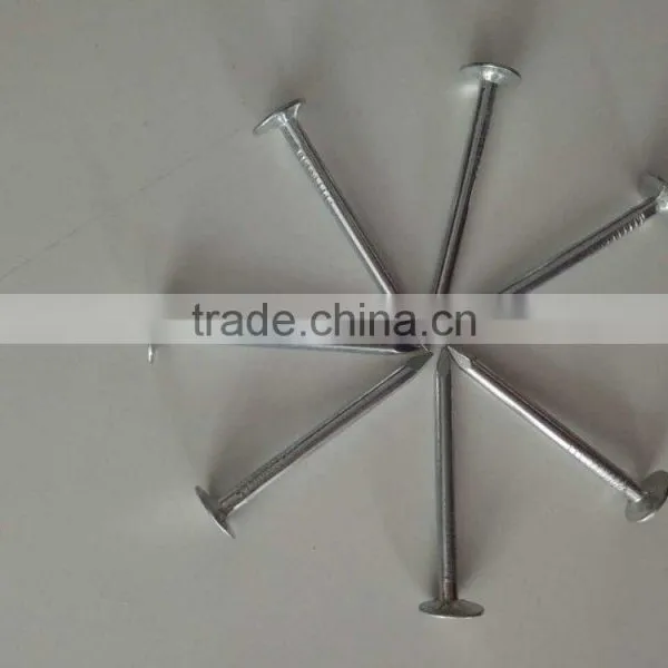 Factory Price Flat Head Clout Nails Zinc Coated Coil Roofing Nails photo-5