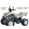 Sell 250CC & 200CC All-Terrain Vehicle With EEC