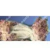 Fishing Net, Nylon Net