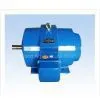 Y Series Three-phase Asynchronous Motor