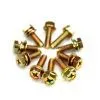 Electonic Screw