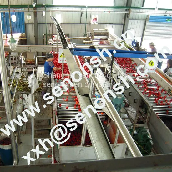 Tomato Paste Production Line photo-4