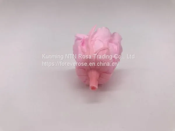 Ever Lasting Rose Love Flower Wedding Festival Decoration photo-3