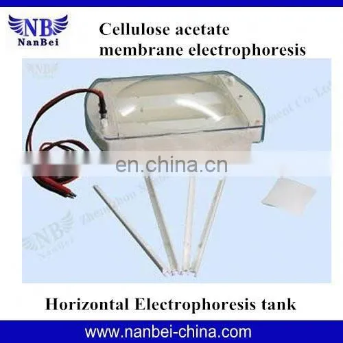 Horizontal Cellulose Acetate Membrane Serum Electrophoresis photo-2
