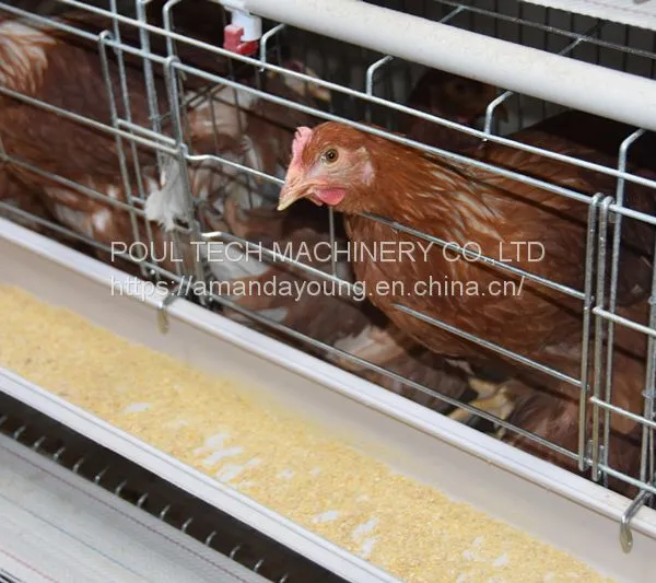 Battery Cage for Chicken Poultry Cage photo-3