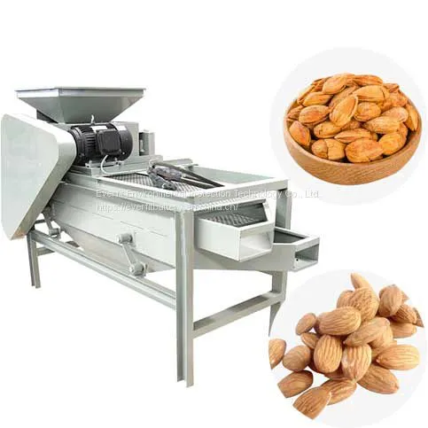 Industrial Almondd Eshelling Machine | Almond Shelling Machine | Almond Husking Machine photo-2